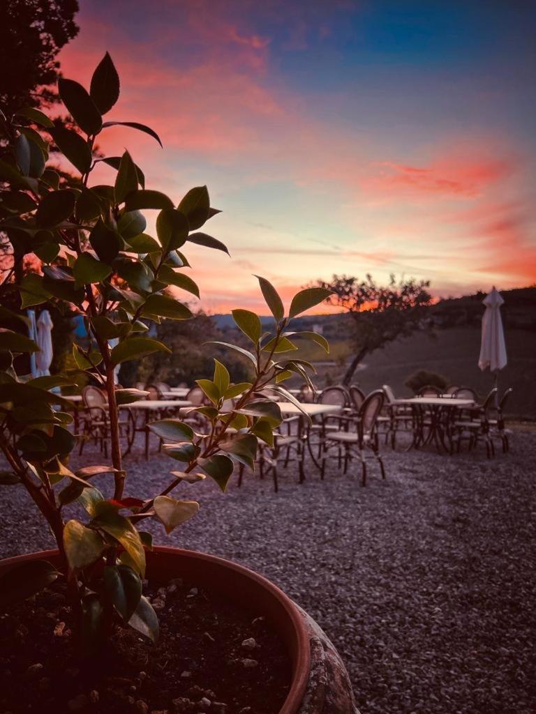 Locanda Podere Le Vigne ราดดา อิน เคียนติ ภายนอก รูปภาพ